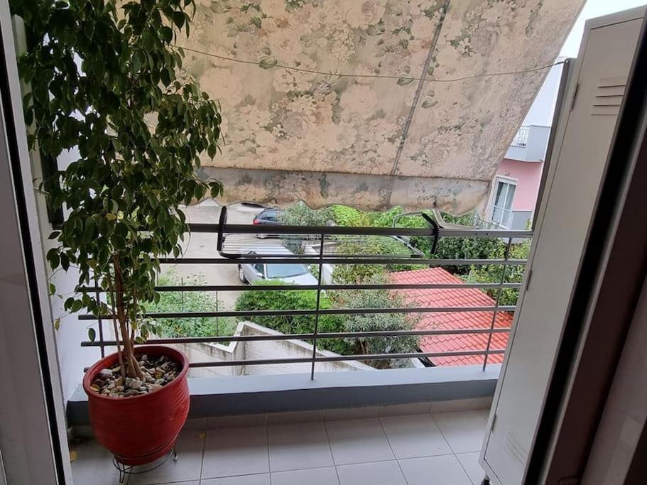 Apartament Mary'S House Wolos Zewnętrze zdjęcie